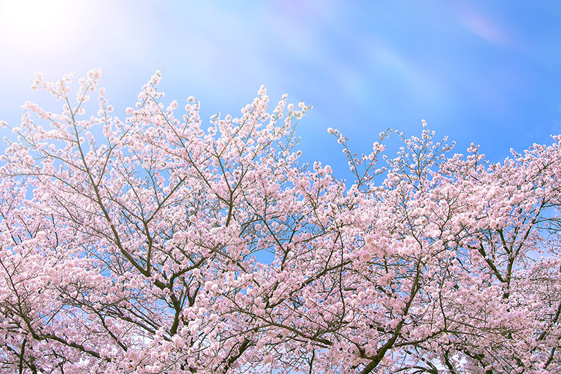 新旧交代のお知らせ