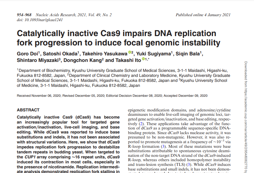 Nucleic Acids Research誌に基礎研究論文を報告