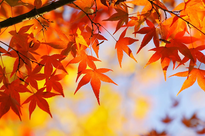 10月からの病棟医長変更について